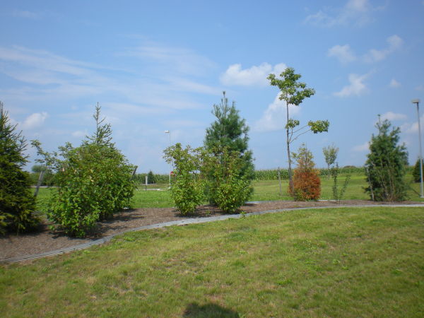 lhs78