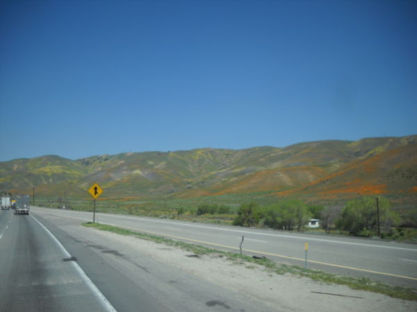 lhs78